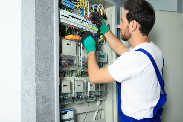 Best Ceiling Fan Installation Electrician  in Haslett, MI